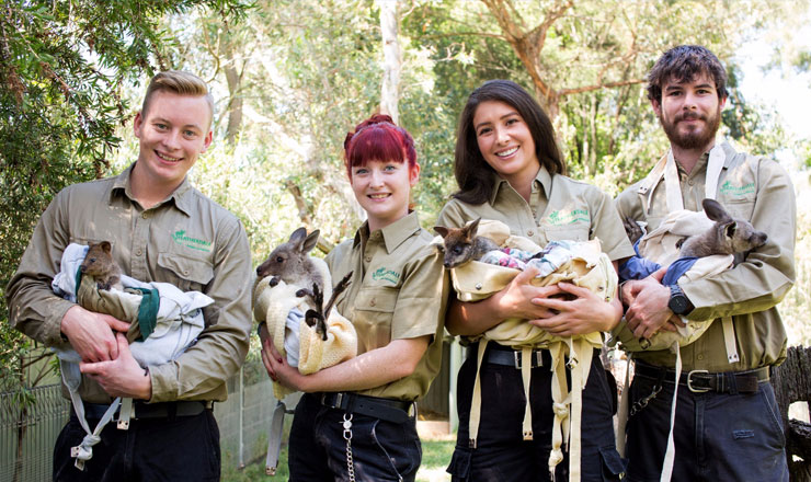 บัตรเข้าชมสวนสัตว์แฟทเทอร์เดล (Featherdale Wildlife Park) ในซิดนี่ย์ (by Golden Dragon Travel)