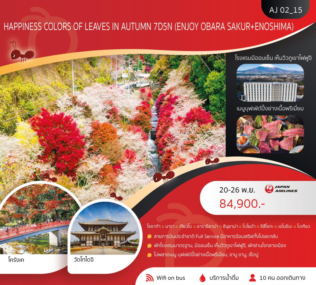 ทัวร์ญี่ปุ่น HAPPINESS COLORS OF LEAVES IN AUTUMN 7วัน 5คืน (JL)